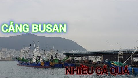 Cảng Biển BuSan Hàn Quốc |cuộc sống Hàn Quốc |#11
