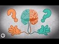Understanding Handedness and Brain Function
