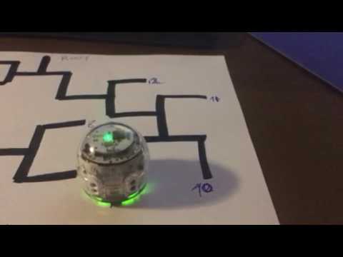 Ozobot Binary Tree Depth First Traversal