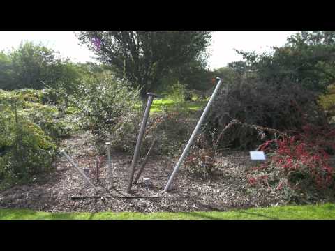 Botanic Garden's Sculpture in Context Exhibition 2012 By: Sarah Reilly