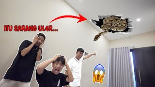 Is There a Bee Nest on the Roof of Saputra's House? | Mikael Family