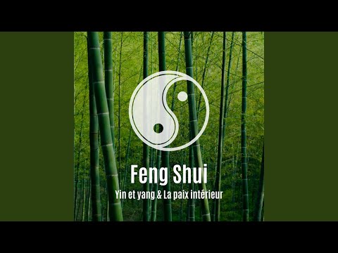 Video: Klassisches Feng Shui Gegen New Age Feng Shui