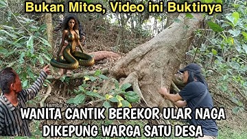 NYATA DITEMUKAN ULAR NAGA  BERKEPALA MANUSIA, VIDEO INI BUKTINYA DI JAWATIMUR
