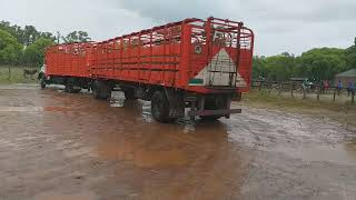 Mercedes 1114 turbo arrimando para cargar hacienda!