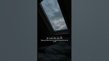 ادريس ابكر | تلاوة من سورة النجم