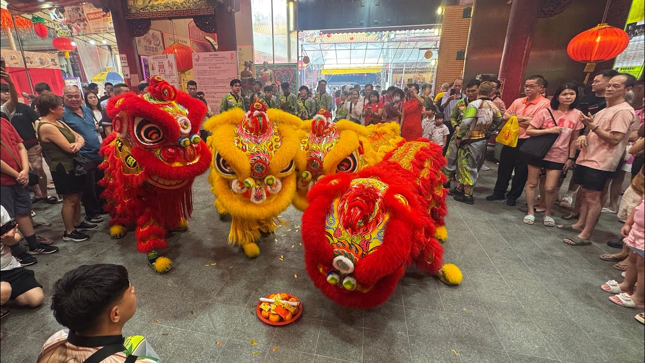 新加坡昡勝龍獅文化團 Singapore Xuan Sheng Dragon & Lion Dance Cai Qing Performance at  韮菜芭城隍廟  20 Feb 2026