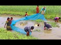 Best net fishing  amazing traditional net fishing by village people  fishing village