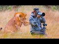 This Lioness Surprised The Photographer In An Unexpected Way