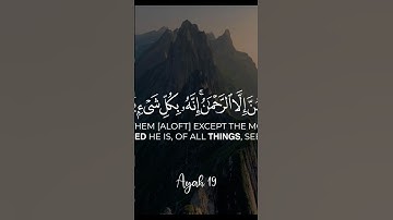 ⚡️سورة الملك الاية (19-21) Surah Al-Mulk Ayah 🌝