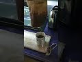 Coffee Americano Indonesia #shorts #seduhkopi #coffeelover #coffeetime #kopihitam #tutorial #asmr