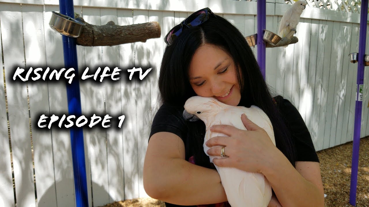 Rising Life TV - Episode 1 - Parrot Mountain - YouTube