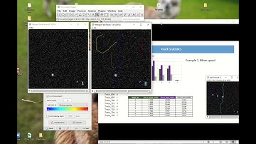 2 Trackmate+introduction