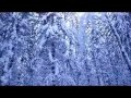 Фильм прогулка по зимнему лесу