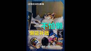 大腦非常懶，但只要知道一個概念，就能超越99%的人
