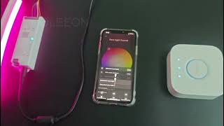 [COOLEEON] How to connect Zigbee Controller to Philips Hue