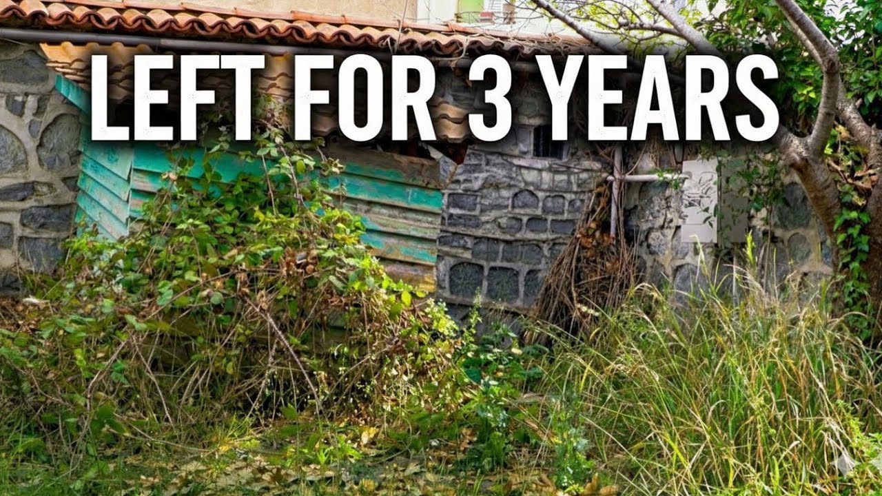 Overgrown Garden Cleanup After 3 Years (No Talking)