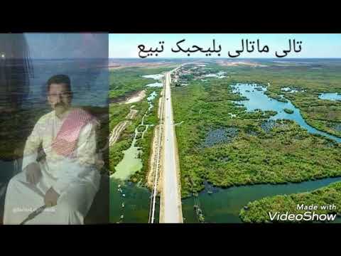 الفنان احمد ابوشهاب