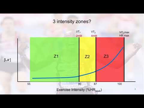 Training Intensity Zones: general rules and importance of individual testing.