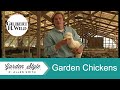 Raising Chickens in the Garden | Garden Style (123)