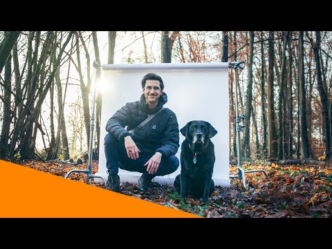 Video: 10 Tipps, um Ihren Hund gesund zu halten und den Tierarzt zu meiden