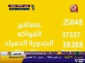 قناة كناري نون كراميش طيور الجنة اطفال ومواهب محبوبة صبا الفضائية 2011 2012 اغاني العيد 