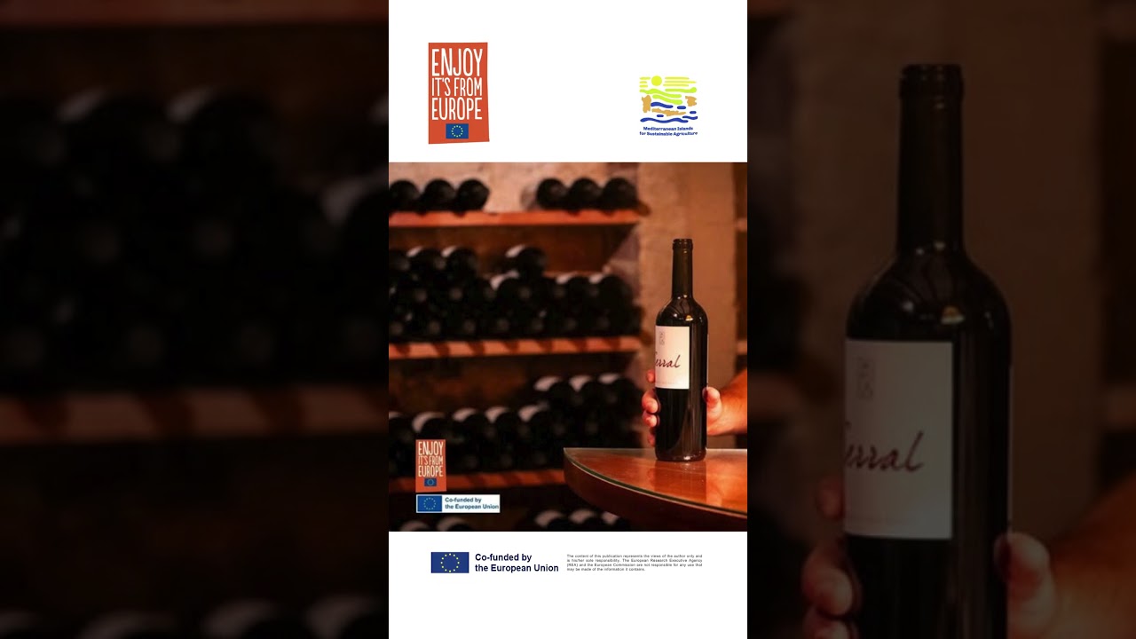 𝗗𝗶𝘀𝗰𝗼𝘃𝗲𝗿 𝗠𝗮𝗹𝗹𝗼𝗿𝗰𝗮’𝘀 𝗦𝘂𝘀𝘁𝗮𝗶𝗻𝗮𝗯𝗹𝗲 𝗪𝗶𝗻𝗲 𝗧𝗿𝗲𝗮𝘀𝘂𝗿𝗲𝘀!  🍇♻️🏝️