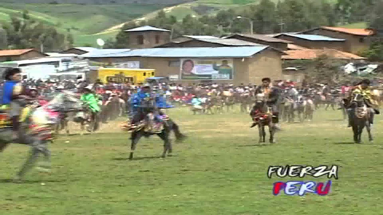 manzanita de sucaraylla-( puca huyacha) andahuaylas-apurimac