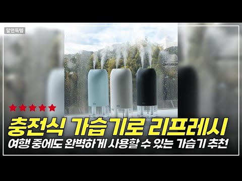 사무실과 차량에 완벽한 솔루션! 오아 듀얼미스트맥스 가습기 사용 후기