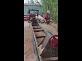 Automatic Bamboo Delivery Live