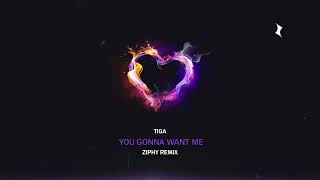 Tiga - You Gonna Want Me (Ziphy Remix)