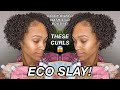Super Defined Wash and Go Routine Using Black Owned Products | Eco Slay