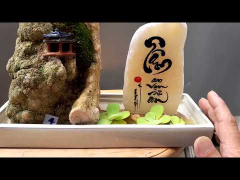 Video hoàng nguyên số 133_14/08/2022 bonsai mini, tiểu cảnh... - youtube