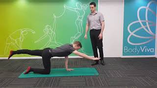 Quadruped/four-point kneeling and plank progressions