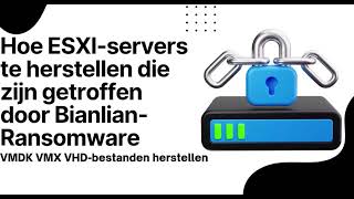 Hoe ESXI-servers te herstellen die zijn getroffen door Bianlian-ransomware VMDK VMX VHD