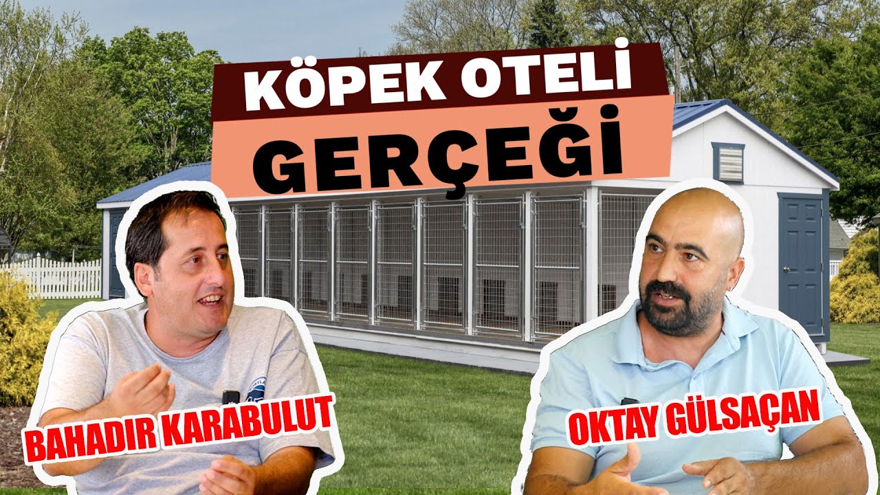 Köpek Oteli Gerçeği: Kimse Anlatmıyor