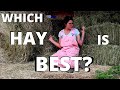 What type of HAY should you get for your goats!