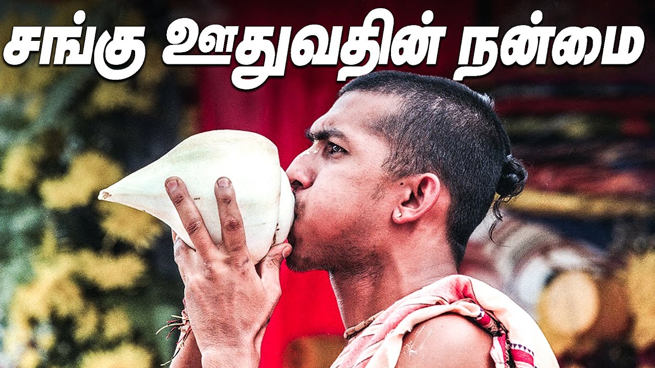 சங்கு ஊதுவதன் நன்மைகள் | Conch | Lankasri