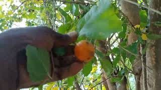 వష మషట చటట 9701384799 Venkatanarayana