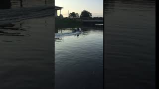 IMG 1323
