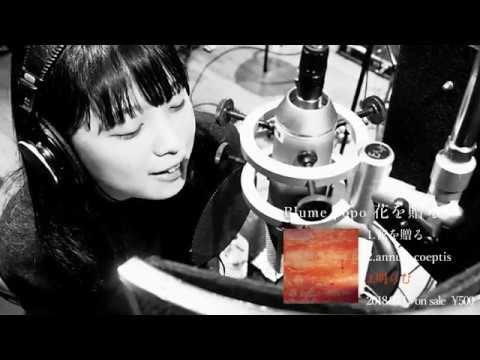 Blume popo - YouTube