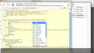 Webdna Programming - Section 4 - Part 6 Of 15