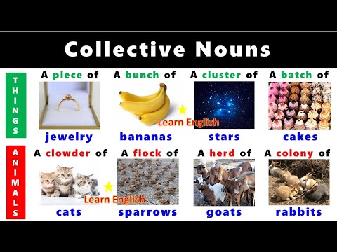 Collective Nouns | Collective nouns examples