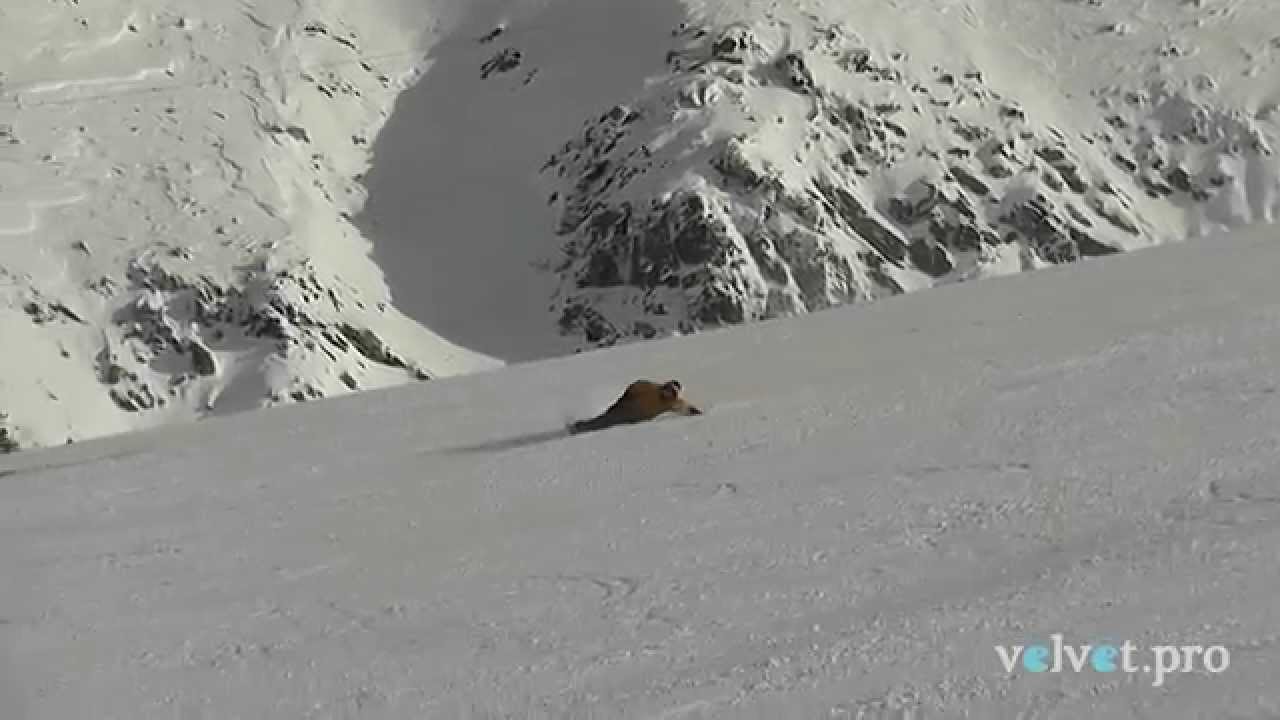 Velvet International 2014