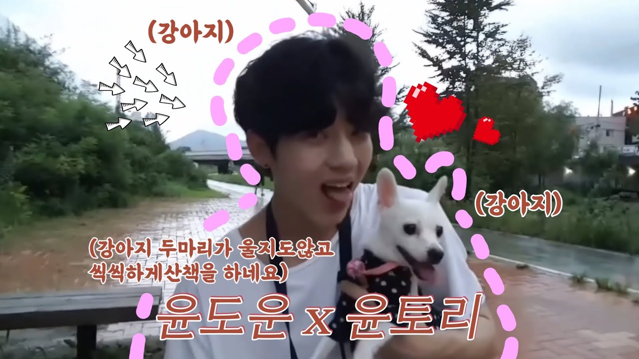 🏃♂️토리아가씨와 산책 브이앱🏃(도운이가 토리를 소개해주던 그날이 떠오르네요...) #데이식스 #도운 - YouTube