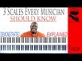 3 Scales Every Musician Should Know | Demonstrated and Explained