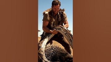 Farmer Saves Porcupine from Giant Python Attack 🐍🦔  Rescue Short