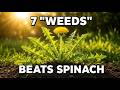 7 "Weeds" Richer in Iron Than Spinach. Already In Your Backyard.
