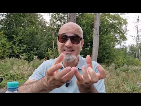 السويداء لما جاعوا ايام البهرزي طلعوا بالعشرات و لما شبعوا طلعوا بالآلاف قرييييد بدكن دولة 