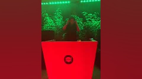 ▪DJ Rivelfs aka Liza Rivs