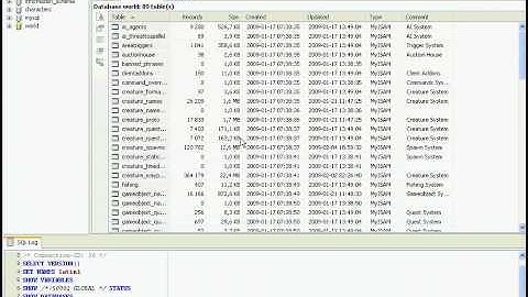 wow private server error plz help